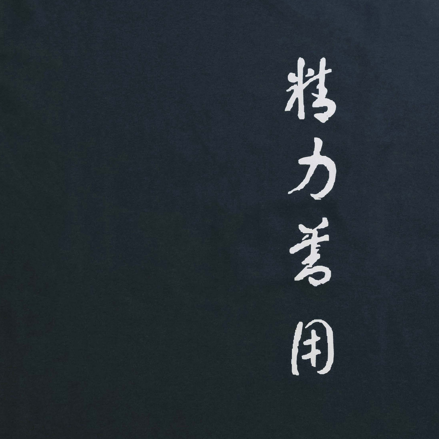 camiseta kanji seiryoku zenyo oversize