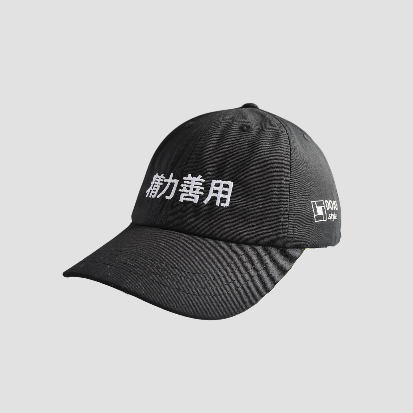gorra kanji seiryoku zenyo