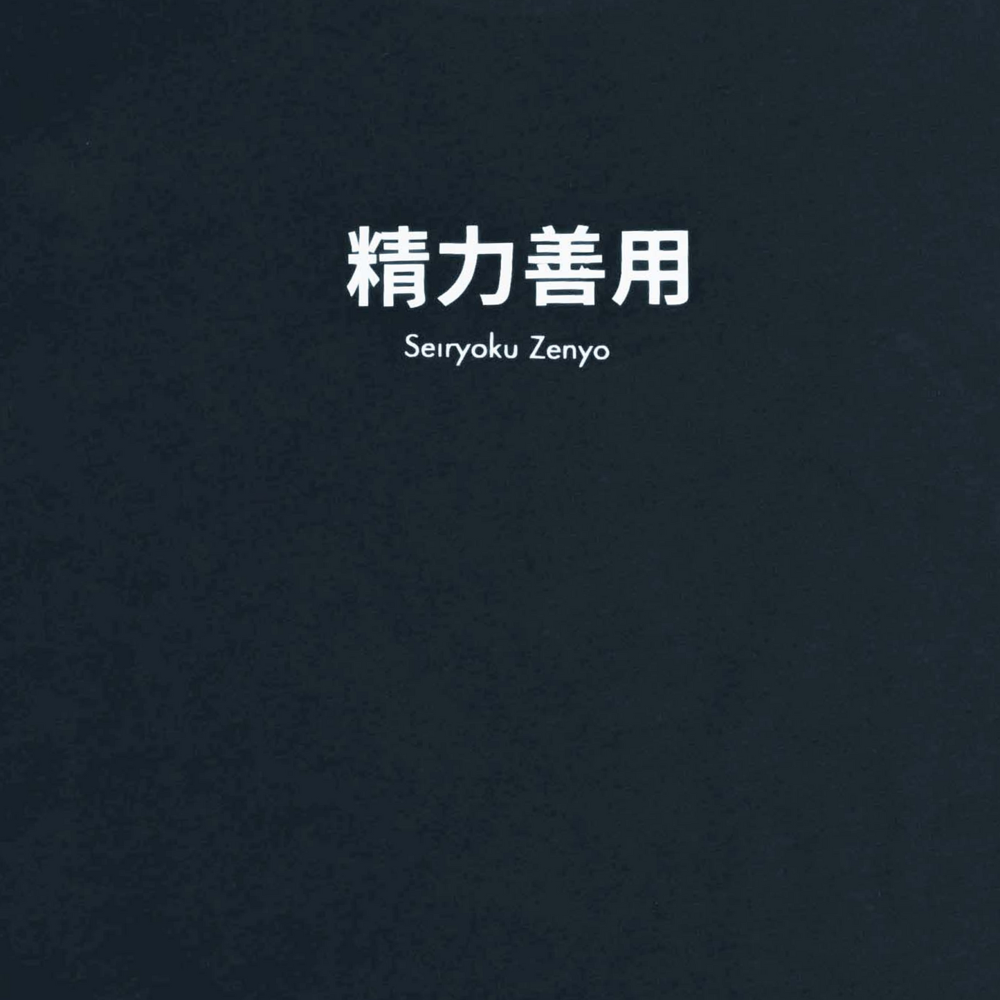 camiseta seiryoku zenyo oversize