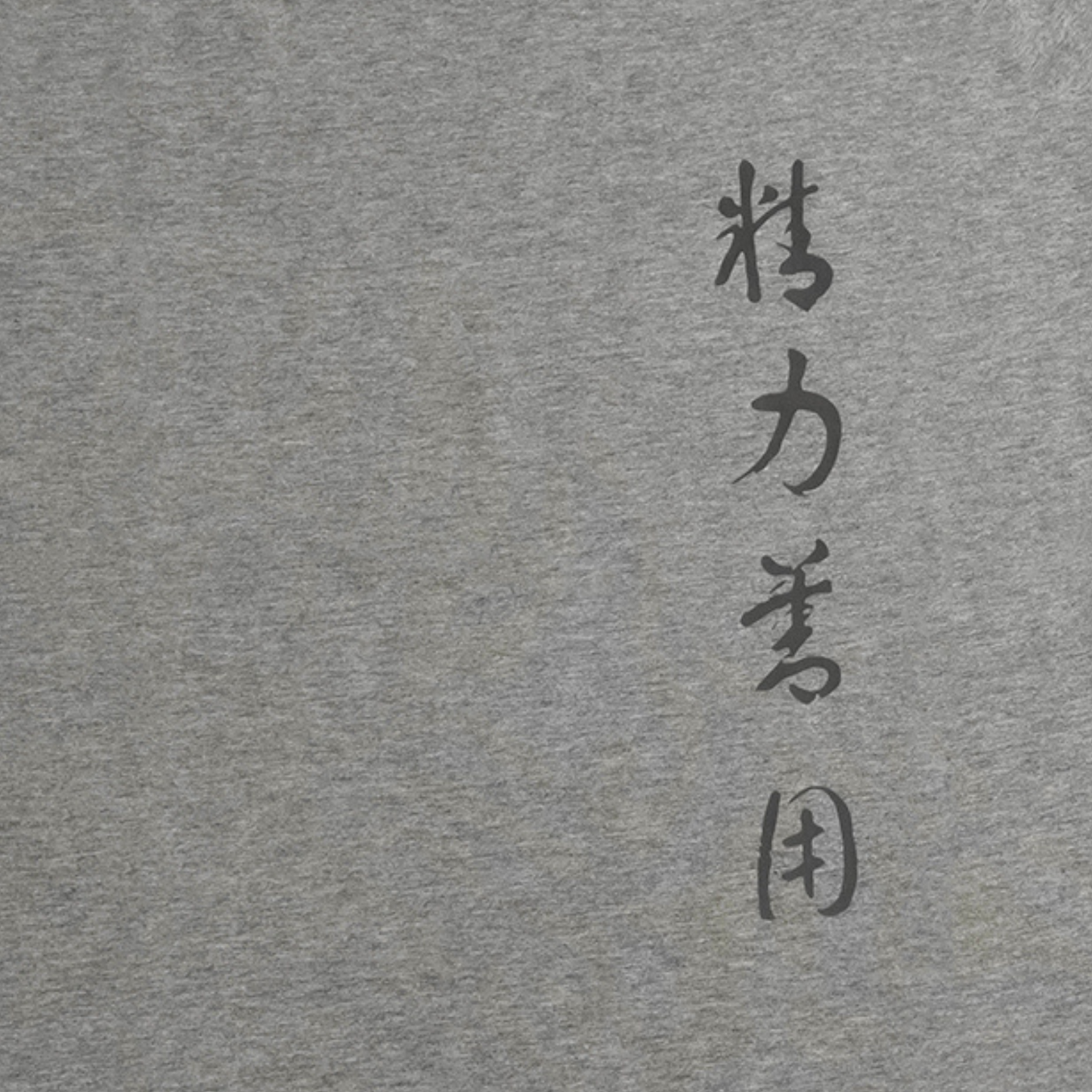 camiseta kanji seiryoku zenyo