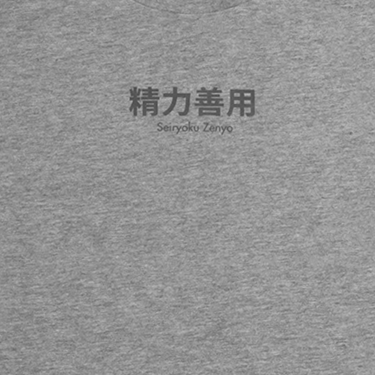 camiseta seiryoku zenyo