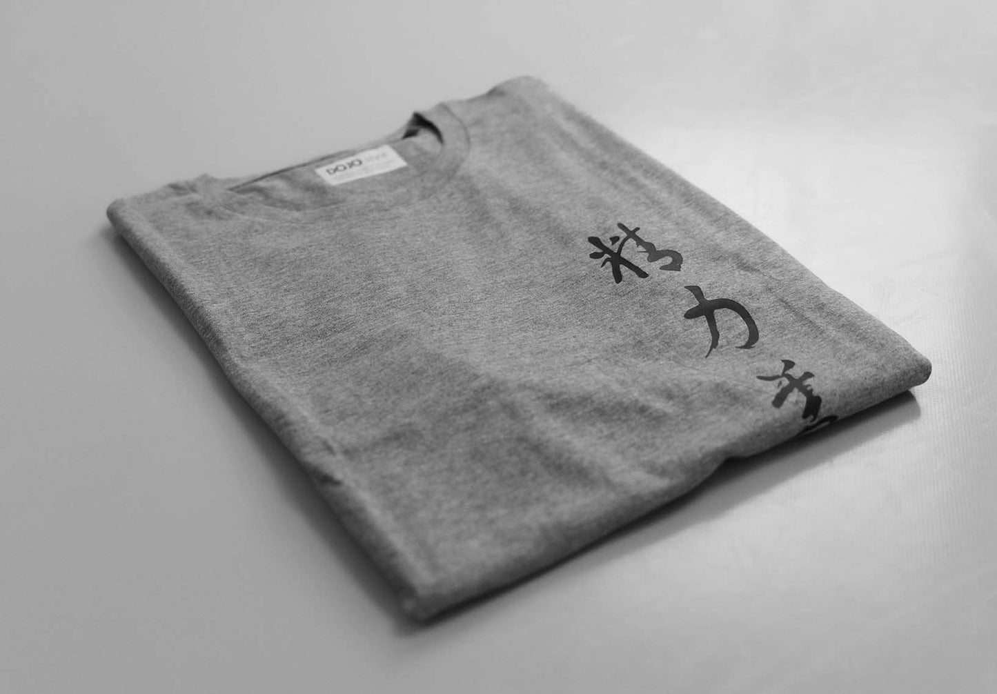 camiseta kanji seiryoku zenyo