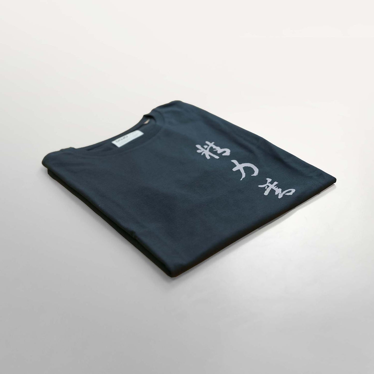 camiseta kanji seiryoku zenyo