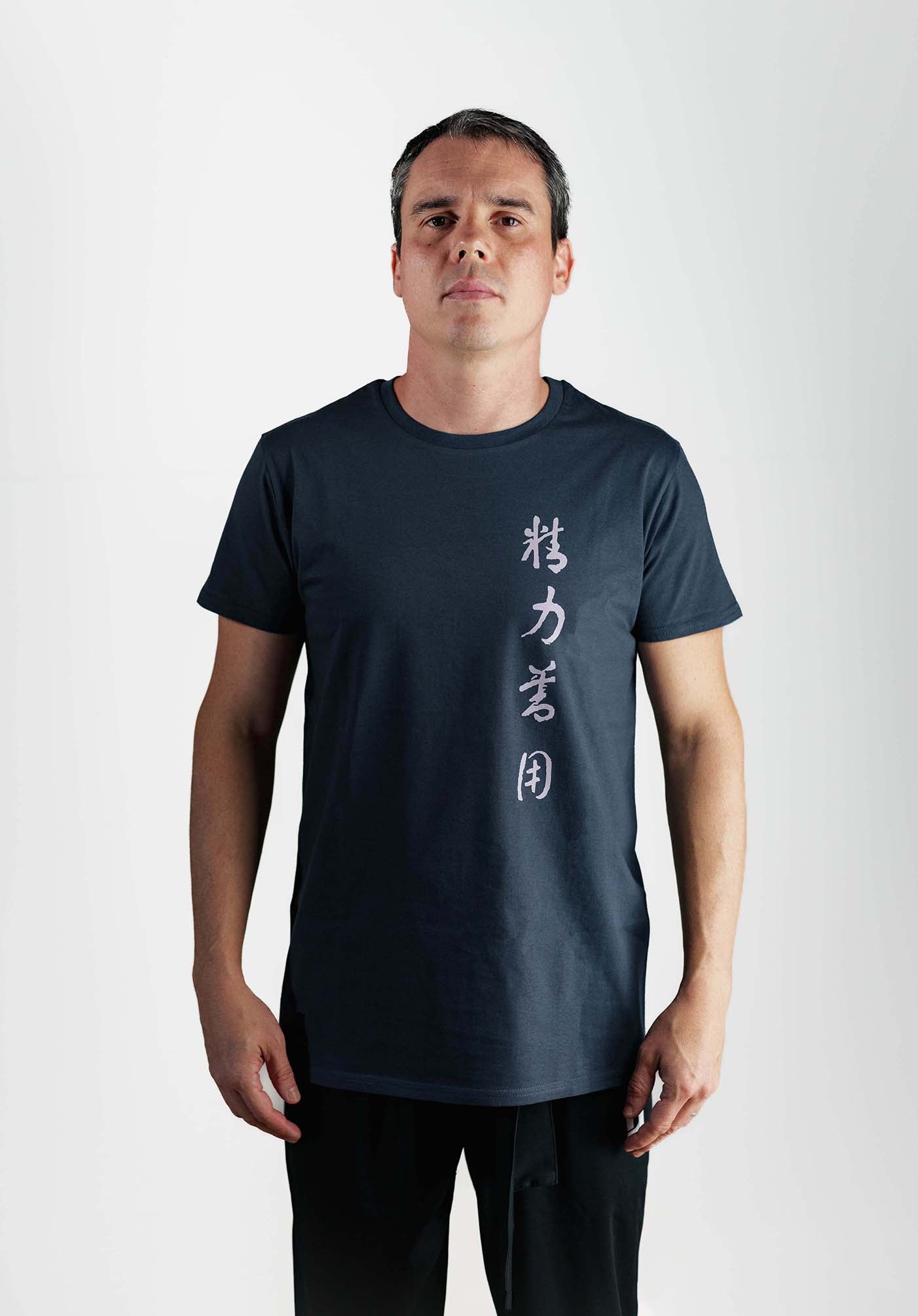 camiseta kanji seiryoku zenyo