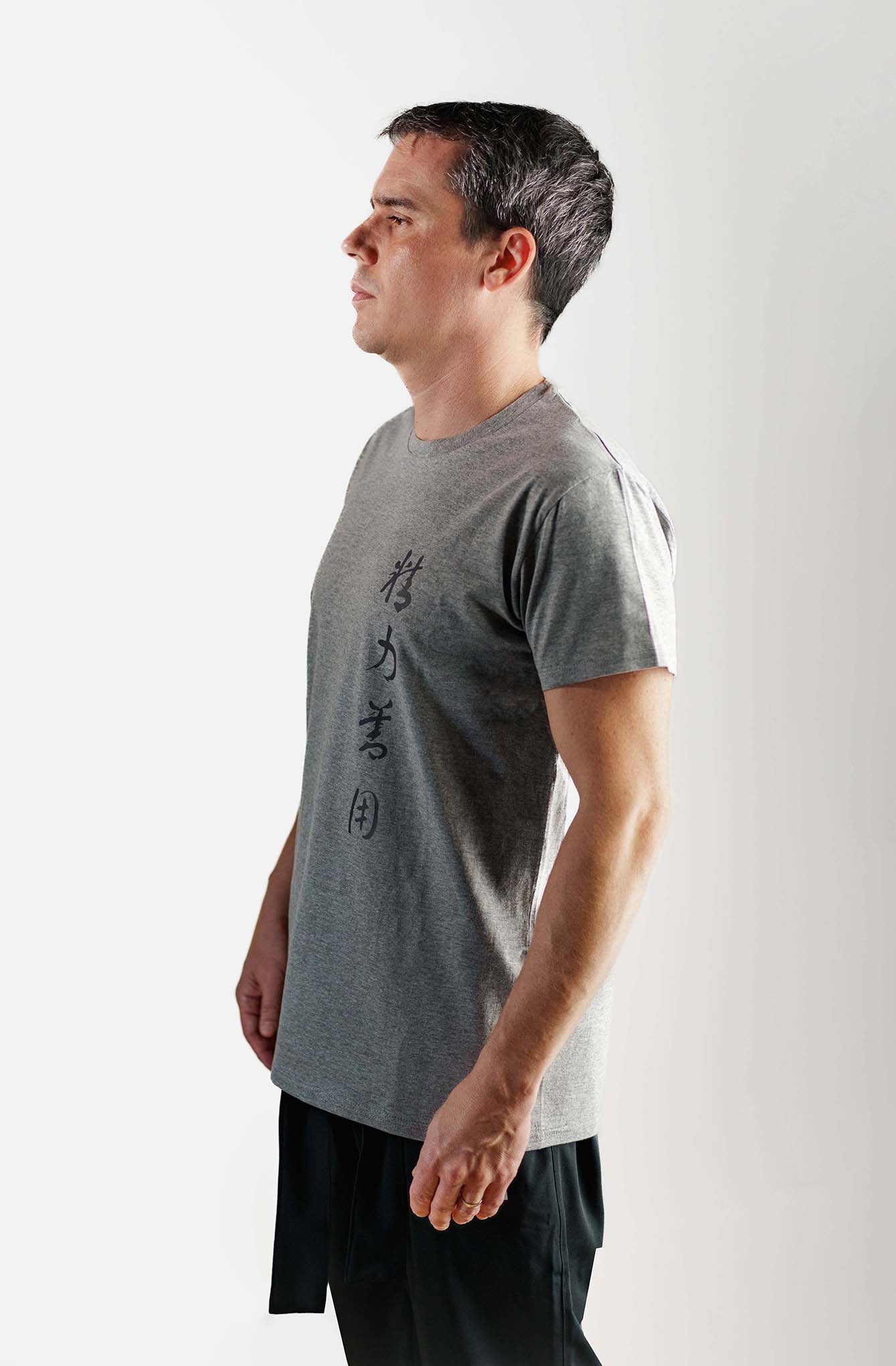camiseta kanji seiryoku zenyo