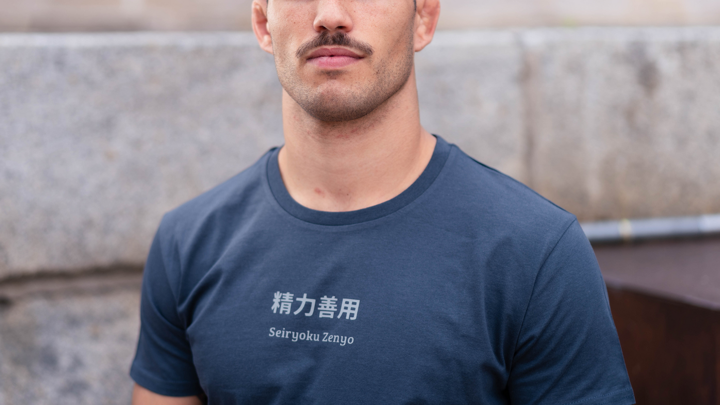 camiseta seiryoku zenyo