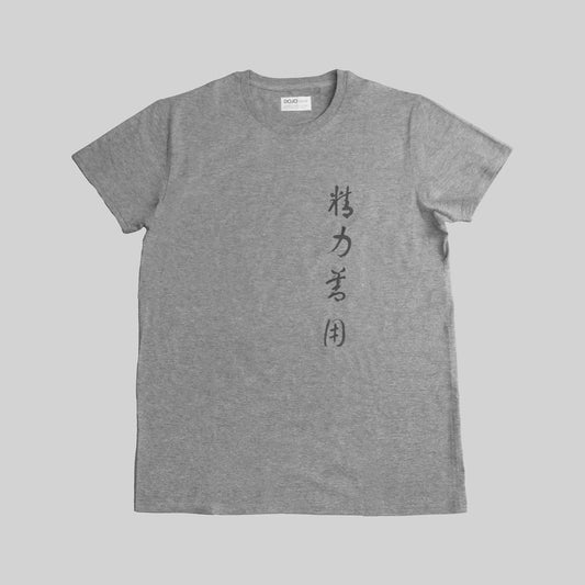 camiseta kanji seiryoku zenyo