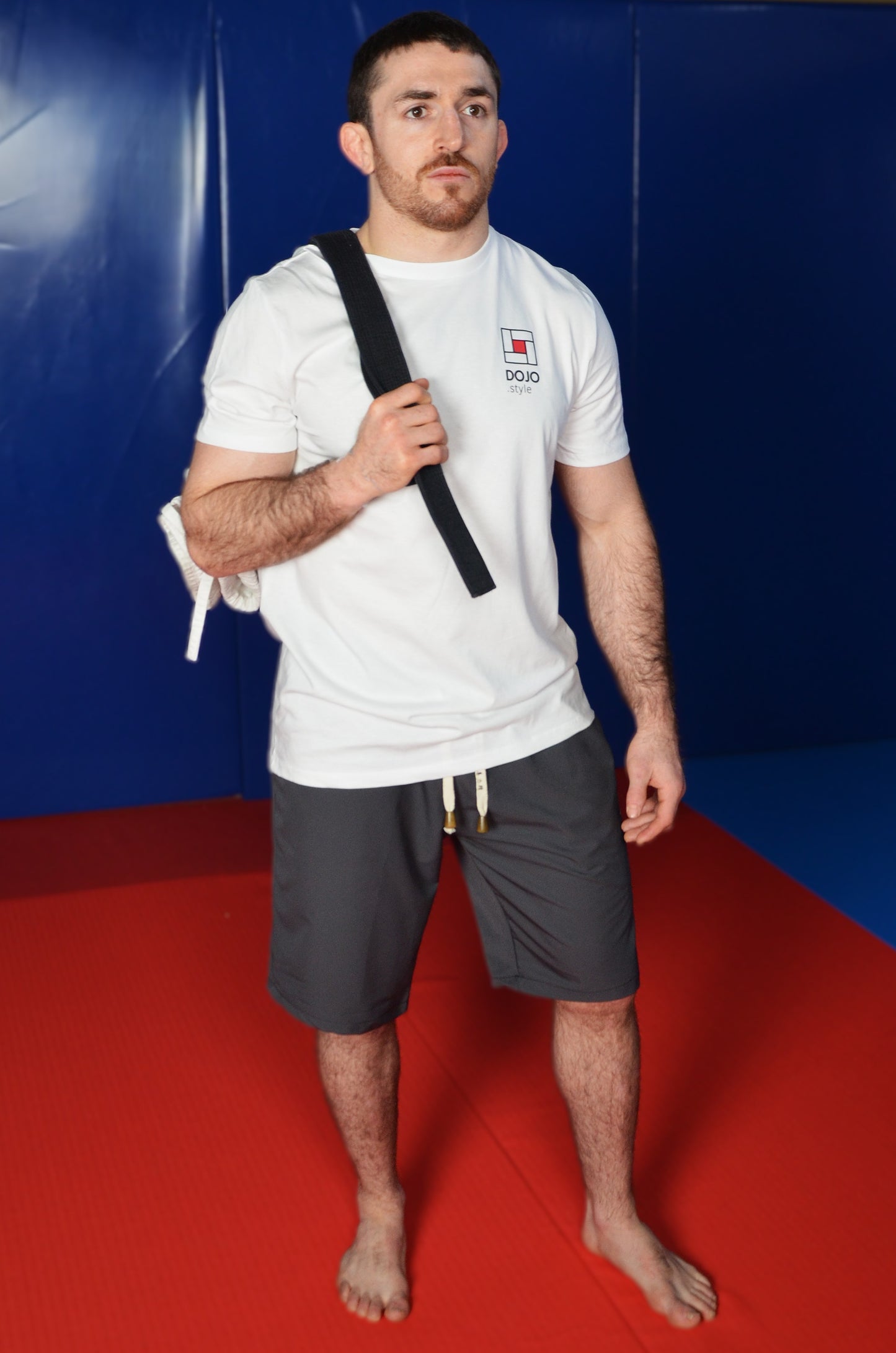 seiryoku zenyo shorts