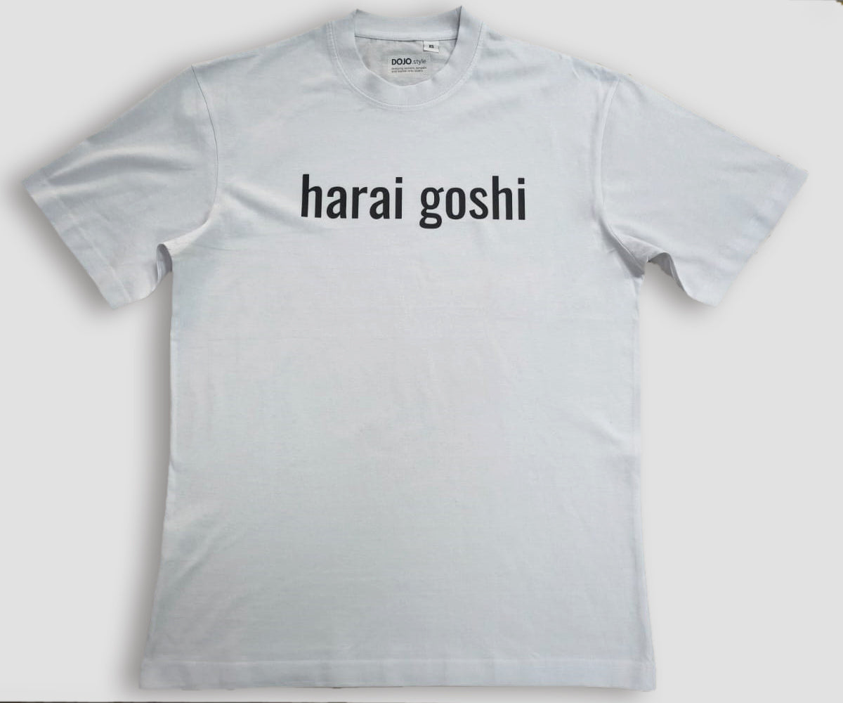 uchi mata gokyo techniques oversize t-shirt