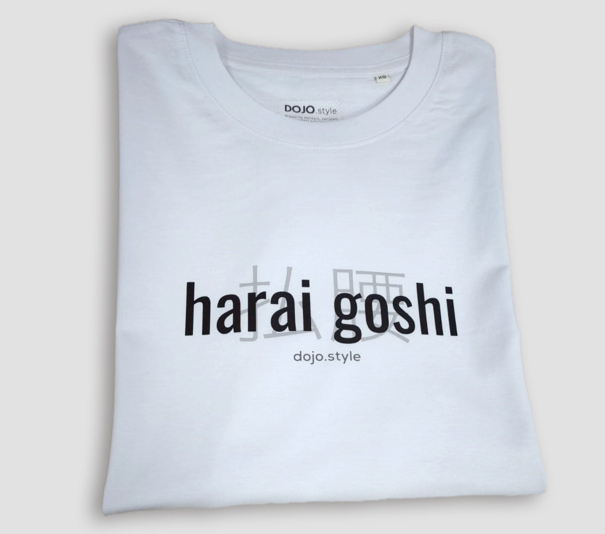 uchi mata gokyo techniques oversize t-shirt