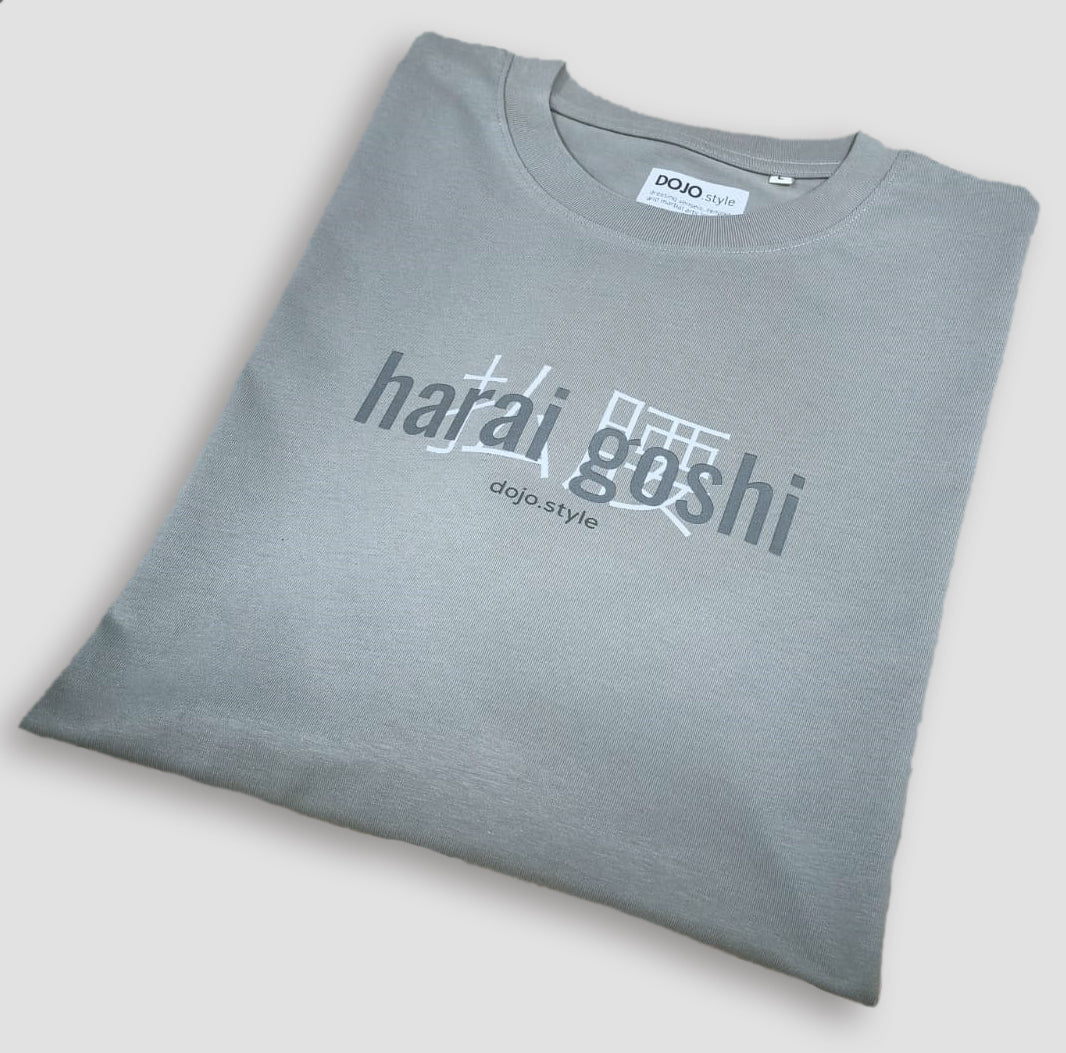 uchi mata gokyo techniques oversize t-shirt