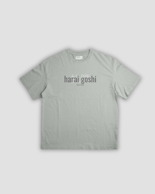 harai goshi gokyo techniques oversize t-shirt
